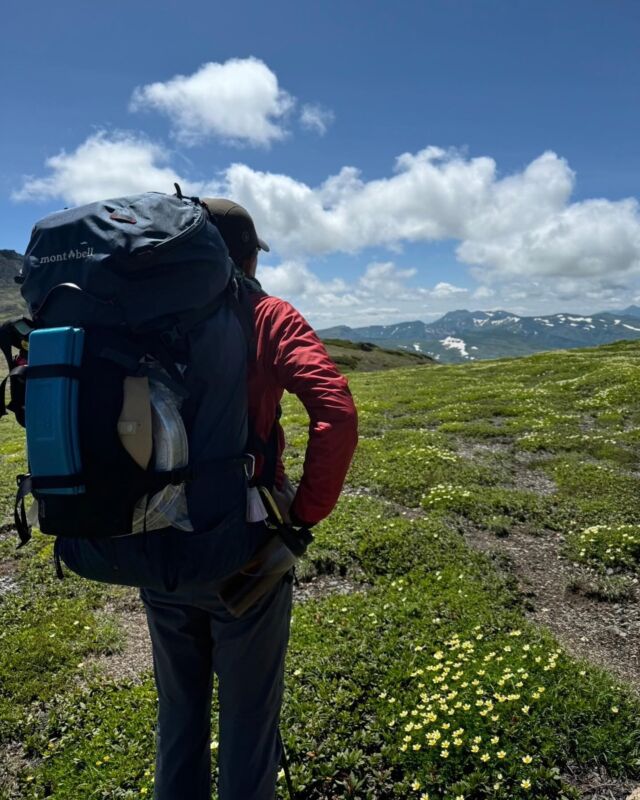 20240714-16
今回は連休を利用して北海道へ遠征登山に行ってきました⛰️ 北海道に梅雨がないってのは本当でした！お花はお腹いっぱいになるくらい咲いてるし🌸比較的涼しく歩けるしタイミングも一番良い時期だと思います（過去に大きな事故も起きてるけど）

㊗️おめでとうございます。これまでの山歴で訪れて良かった夏山、パノラマ銀座を抜いて今回が一位になりました！
#大雪山
#北海道上川郡
#石狩山地
#姿見駅
#旭岳
#白雲岳
#白雲岳避難小屋
#手拭いゲット
#ヒグマ登場
#ジンギスカン
#忠別岳
#五色岳
#化雲岳
#天沼
#日本庭園
#ロックガーデン
#北沼
#トムラウシ山
#南沼キャンプ場
#テント泊
#前トム平
#コマドリ沢分岐
#カムイ天上
#トムラウシ温泉
#らーめん山頭火旭川本店
#大雪山白樺荘
#食事処暖笑
#新得町営浴場駅前温泉
#スカイマーク遅延
#家に着いたら日付変わってた