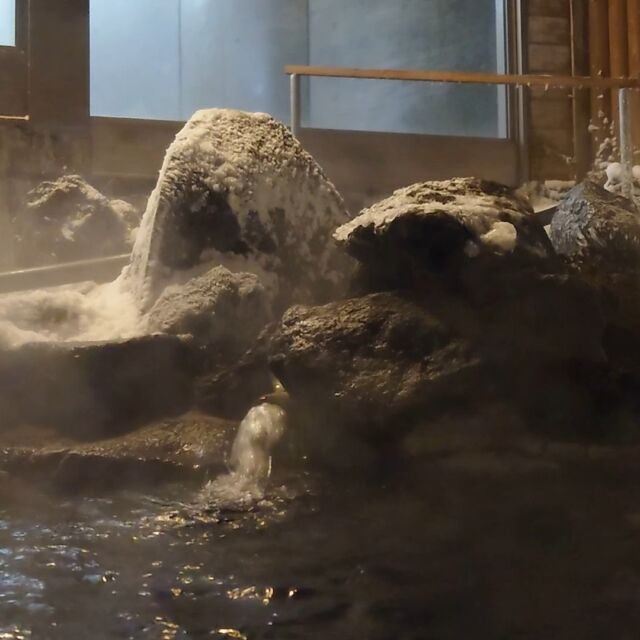 家庭教師の英数国理社クライン くらのすけの温泉巡り
旭岳温泉／大雪山 白樺荘
僕の入浴済み温泉紹介674施設目はこちら！
（現在紹介は、北海道654,沖縄19,新潟1）

施設名　大雪山 白樺荘
源泉名　大雪山白樺荘源泉 1,2,3号の混合
泉質名　カルシウム・マグネシウム・ナトリウムー硫酸塩・塩化物温泉
利用法　宿泊

こちらは上川郡東川町の旭岳温泉に入れるユースホステルになるよ。実際はユースホステルの中ではかなり綺麗なお宿だから、どちらかというとホテルや大きな山荘に泊まるのようなイメージかな。
温泉名は旭岳温泉。源泉名は大雪山白樺荘源泉 1,2,3号の混合。泉質はカルシウム、マグネシウム、ナトリウム、硫酸塩、塩化物泉だったんだ。印象や特徴は旭岳温泉の自家源泉三本をブレンドした源泉掛け流しで僅かに濁りのある無色透明のお湯。石膏、硫酸、炭酸などの匂いと僅かな塩味や埃のような味を楽しめたよ。湯温が温めだったのも合わせてのんびりとても気持ち良い入浴ができたな。
このお湯を浴場の内湯と露天風呂で楽しめるんだ。どちらもそれほど大きくは無いけど静かで落ち着いた空間だったよ。特に露天風呂は雪見風呂が最高だったな。多分雪が無いときは木々の景色が綺麗だと思うよ。
食事はユースホステルらしく食堂で一斉に頂いたんだけど、その日のメインメニューだったシチューでほっこり。とてもユースホステル気分を味わえたよ。
先にも書いた通り館内はとても綺麗でお部屋やラウンジではきちんとくつろぐこともできるし、何よりお値段がとても優しい。旭岳温泉はお湯もとても良いし、どのお宿も特徴がはっきりと出ているから全部回っても楽しいと思う。みんなもぜひ一度は立ち寄ってみてね。

#家庭教師の英数国理社クライン #温泉 #旭岳温泉 #大雪山白樺荘 #温泉宿 #温泉ホテル #温泉旅館 #温泉銭湯 #日帰り温泉 #上川管内 #北海道 #上川郡東川町 #くらのすけ #ホッキョクグマ #温泉紹介 #温泉好き #上川郡東川町の家庭教師 #旅 #温泉旅行 #テレビCM見てね #やる木を育てる #家庭教師 #全国対応

※掲載写真・撮影について
禁止施設は撮影時に許可を取るように気を付けておりますが施設管理者からの削除依頼は当該施設へ確認のうえ即時対応致しますので手数かとは思いますが下記に御連絡ください。

https://emjsscline.com/
くらのすけ