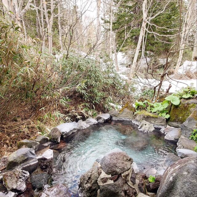 北海道東川町にある 旭岳温泉 大雪山白樺荘

旭岳温泉郷にある日帰り入浴可能な旅館の1つ♨️
源泉名が白樺荘源泉との事で自家源泉の混合泉を使っているみたい😌

泉質はカルシウム-マグネシウム-ナトリウム-硫酸塩-塩化物泉の中性低張性高温泉♨️
あまり意識してなかったけど、陽イオン含有量でナトリウムイオンが3番手にくる温泉久々に見たかも😂

中性のお湯はめちゃめちゃ体に染みて馴染む
外気が冷えていてもよく温まるお湯でポカポカ感がしばらく続くいいお湯だった🤗

近くの温泉施設の泉質に似てはいるものの、やっぱりそれぞれ入った感じとか風味に違いがあって面白い😁

露天風呂は自然の中に溶け込んでいて、野湯みたいな雰囲気すらある😂
大量にオーバーフローする源泉かけ流し、最高すぎる👍✨

建物脇には温泉のため池？除雪用？用途はよく分からなかったけど温泉を使った何かがあった😂

勇駒別川を渡った先にありちょっと奥まってるので今までスルーしてしまってたけど、いいお湯が隠れてた🤭

#温泉 #おんせん #温泉巡り #お風呂 #日帰り温泉 #源泉かけ流し #秘湯 #旭岳温泉 #大雪山白樺荘 #白樺荘 #鄙びた温泉 #温泉旅行 #旅行 #ひとり旅 #spa #hotsprings #onsen #trip #travel #北海道の温泉 #東川町

#温泉好きな人と繋がりたい 
#旅行好きな人と繋がりたい